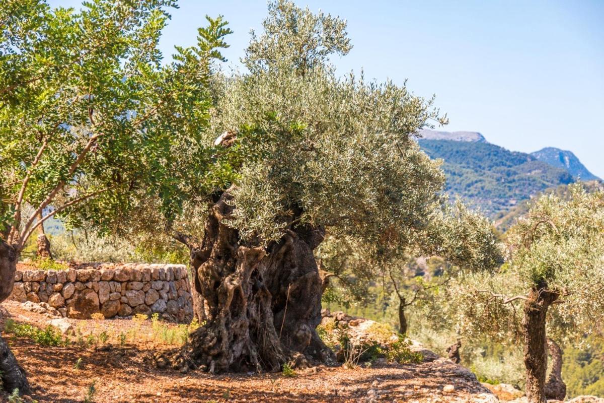 Finca Rural Es Pujol Villa Soller Exterior photo